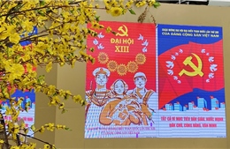TP Hồ Chí Minh rợp cờ đỏ sao vàng chào mừng Đại hội lần thứ XIII của Đảng