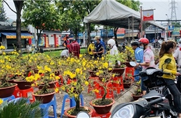 Bất ngờ chợ hoa Tết TP Hồ Chí Minh không còn cảnh &#39;đập chậu, ném bông&#39; dù dịch COVID-19