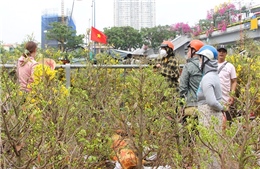 Chợ hoa xuân ‘trên bên dưới thuyền’ ở TP Hồ Chí Minh đông dần
