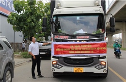Hướng dẫn tổ chức phương tiện vận chuyển hàng hóa mau hỏng khi ra, vào TP Hồ Chí Minh