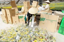 TP Hồ Chí Minh tăng nguồn cung hàng hóa phục vụ Tết Nguyên đán 2022