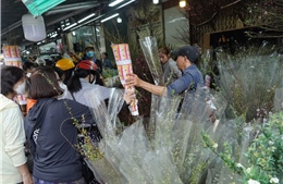 Chiều 29 Tết, chợ hoa cắt cành lớn nhất TP Hồ Chí Minh vẫn nườm nượp người mua