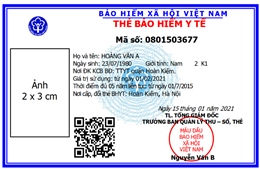 Từ ngày 11/2, BHXH TP Hồ Chí Minh cấp thẻ BHYT mẫu mới