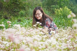 Ngỡ ngàng ngắm hoa Tam giác mạch trái mùa tại Hà Giang
