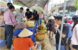 TP Hồ Chí Minh tổ chức tuần lễ trái cây ‘Trên bến dưới thuyền&#39;