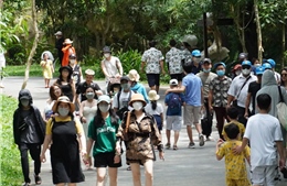 TP Hồ Chí Minh: Nhiều tour du lịch hè &#39;cháy&#39; phòng, &#39;cháy&#39; vé