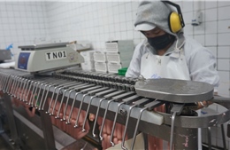 TP Hồ Chí Minh: Tiếp tục hỗ trợ doanh nghiệp nhanh chóng phục hồi hoạt động