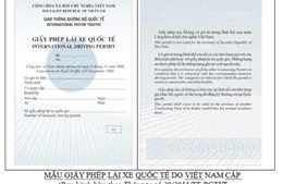 Kế hoạch thực hiện Hiệp định công nhận giấy phép lái xe quốc tế giữa Việt Nam và Hàn Quốc