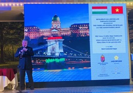 Hungary giới thiệu ẩm thực, âm nhạc truyền thống đến với người dân TP Hồ Chí Minh