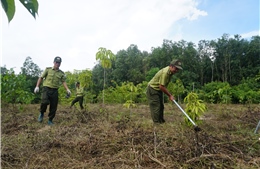 Nhiều nhân viên bảo vệ rừng Đồng Nai nghỉ việc