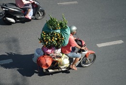 Người dân TP Hồ Chí Minh hối hả chở ‘Xuân’ về nhà trong ngày 30 Tết