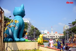 TP Hồ Chí Minh: Những hình ảnh đầu tiên của đường hoa Nguyễn Huệ