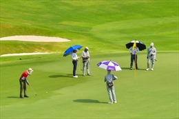 TP Hồ Chí Minh phát triển phẩm du lịch golf