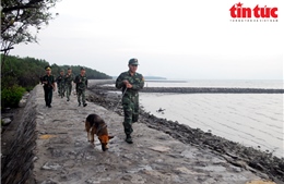 Bộ đội Biên phòng TP Hồ Chí Minh nêu cao tinh thần học tập, noi gương Bác Hồ