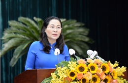 HĐND TP Hồ Chí Minh họp chuyên đề bàn các vấn đề giải ngân đầu tư công