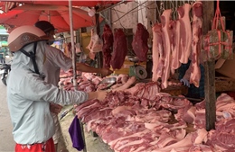 Giá lợn hơi tăng lên mức 55.000 đồng/kg ở các tỉnh phía Nam 