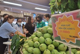 Đồng Tháp đẩy mạnh xúc tiến, tiêu thụ xoài tại TP Hồ Chí Minh