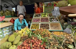 TP Hồ Chí Minh khai mạc Tuần lễ trái cây &#39;Trên bến dưới thuyền&#39;