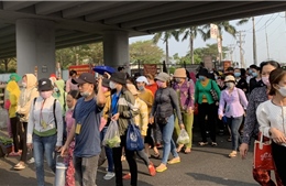 TP Hồ Chí Minh: Đề nghị khởi tố các đơn vị chậm, trốn đóng BHXH, BHTN và BHYT