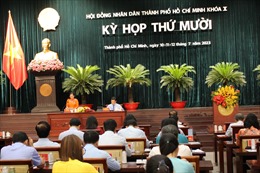 TP Hồ Chí Minh kiên quyết không để tái diễn người lang thang xin ăn 