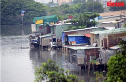 Cận cảnh hàng loạt căn nhà tạm bợ ven kênh rạch ở TP. Hồ Chí Minh di dời chậm