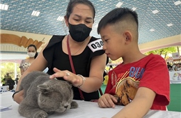 TP Hồ Chí Minh: Gần 600 thú cưng tham gia Ngày hội thú cưng ‘Pet perfect’ năm 2023