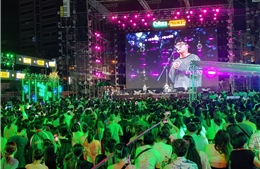 TP Hồ Chí Minh: Nhiều hoạt động văn hóa, văn nghệ chào đón năm mới 2024