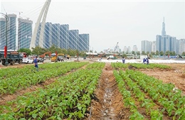 TP Hồ Chí Minh hoàn thành Công viên bờ sông Sài Gòn dịp Tết Dương lịch 2024