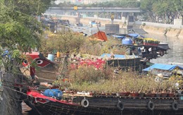 TP Hồ Chí Minh: Nhiều nét mới tại chợ hoa Xuân &#39;trên bến dưới thuyền&#39; năm 2024