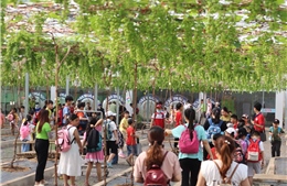  TP Hồ Chí Minh: Phấn đấu đón 6 triệu khách quốc tế trong năm 2024