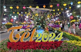 TP Hồ Chí Minh: Khai mạc Hội hoa Xuân Tao Đàn 2024