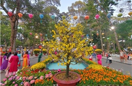 TP Hồ Chí Minh: Nhộn nhịp trảy hội hoa Xuân Tao Đàn