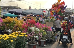 TP Hồ Chí Minh: Người dân tất bật đi mua hoa, cây kiểng trong 30 Tết