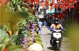 TP Hồ Chí Minh: Rực rỡ sắc màu Tết trên nhiều tuyến đường, con hẻm