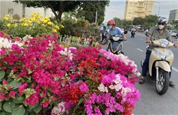 TP Hồ Chí Minh: Hoa Tết ùn ùn xuống phố &#39;ngóng&#39; người mua