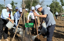 TP Hồ Chí Minh: Phát động Tết trồng cây đời đời nhớ ơn Bác Hồ