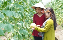 TP Hồ Chí Minh: Vận động sáng tác lời mới thơ ca - lý - hò - vè về nông thôn mới