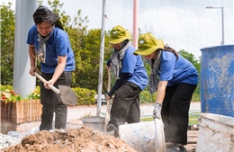 TP Hồ Chí Minh: Sinh viên đã phát huy sức trẻ, xung kích trong các chương trình tình nguyện hè