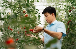 Những lao động mê sáng chế, làm lợi hàng tỷ đồng - Bài cuối: Ươm những giống cây trồng công nghệ cao, mang lợi cho nông dân