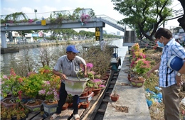 TP Hồ Chí Minh: Nhiều nét mới tại Chợ hoa Xuân &#39;Trên bến dưới thuyền&#39;