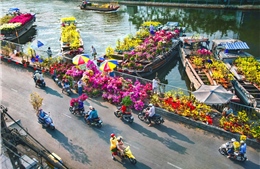 TP Hồ Chí Minh: Các chợ hoa Tết... ngóng người mua