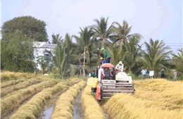 Triển lãm nông nghiệp và chăn nuôi thúc đẩy chuyển giao công nghệ và xuất khẩu bền vững