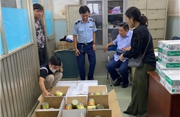 TP Hồ Chí Minh kiến nghị xử lý hình sự các trường hợp vi phạm an toàn thực phẩm nghiêm trọng