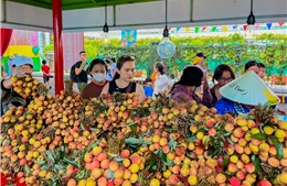Đẩy mạnh quảng bá nông sản Việt qua Lễ hội trái cây Nam bộ năm 2025
