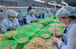 Doanh nghiệp chạy đua giao hàng sang Mỹ trước ‘giờ G&#39; áp thuế đối ứng
