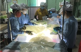 Nghị quyết 68 đi vào cuộc sống - Bài cuối: Doanh nghiệp đầu ngành sẽ là ‘đầu tàu’ của nền kinh tế