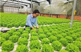 Doanh nghiệp hướng đến sản xuất xanh để giữ vững thị trường xuất khẩu