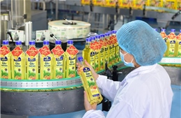 Nghị quyết 68 đi vào cuộc sống - Bài 1: Đòn bẩy thúc đẩy kinh tế tư nhân phát triển toàn diện