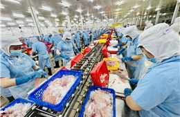 TP Hồ Chí Minh mới: Hướng đến nền công nghiệp xanh và công nghệ cao (Bài cuối)