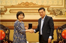 TP Hồ Chí Minh đẩy mạnh hợp tác phát triển du lịch biển với tỉnh Aichi (Nhật Bản)